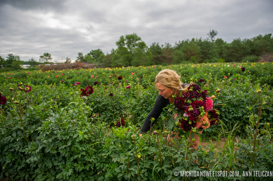 Dahlia Acres Farm – Pick Your Own Flowers, Husonville MI – Michigan ...